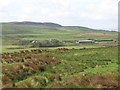 Moorland above Gibbs Hill