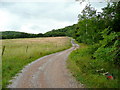 Track and footpath to Buckholt Wood