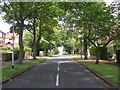 Poplar Avenue - Dewsbury Road