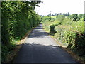 Newry Canal towpath