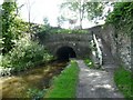 Peak Forest Canal