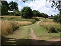 Avon Valley Nature Reserve