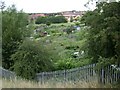 Cape Road allotments, Warwick