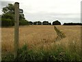 A footpath close to Millhill Farm