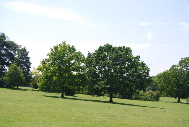 Two trees, Earlham Park © N Chadwick cc-by-sa/2.0 :: Geograph Britain ...