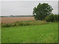 Farmland, Haybridge Farm