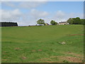 Pastures below Greenlee Farm (5)