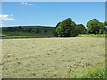 NY7607 : Newly mown hayfield at Intake Bottom by Stephen Craven