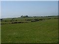 View across undulating pasture land towards Bodelffra