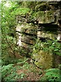 Disused sandstone quarry beside Nant Melyn