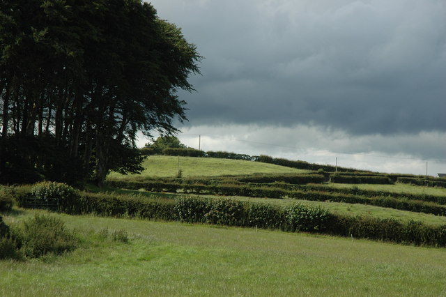 Holestone Fields