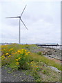 Wind turbine at Avonmouth