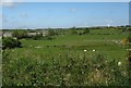 View northwards across the Afon Goch valley in the direction of Melin Trysglwyn Farm