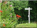 Road Sign at Coldharbour, Surrey