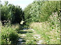 Farm track, Bromhey Farm