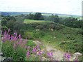 Disused quarry by Redmires Road