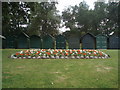 Flowerbed of Geraniums