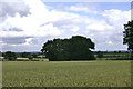 A hidden pond near Budbrooke Farm