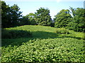 Tumulus at Fiddlers Hill