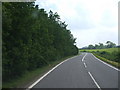 A52 near the Quarry spinney