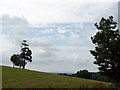 View From Anstie Lane, Coldharbour, Surrey