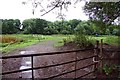 Gate to field near Cothill