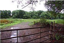 SU4699 : Gate to field near Cothill by Steve Daniels