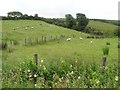 Drumnamarla Townland