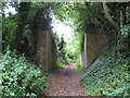 SU2453 : Collingbourne Ducis: Mill Lane by Nigel Cox