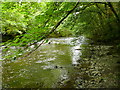 SJ0813 : Afon Efyrnwy / River Vyrnwy by Ian Medcalf
