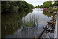 River Thames at Abingdon