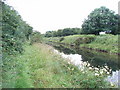 N3652 : The Royal Canal at Shanonagh, Co. Westmeath by JP