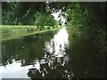 N3950 : Royal Canal at Ballina, Co. Westmeath by JP