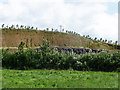 Tullyhenan Quarries being landscaped