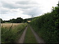 Footpath from Glatting Farm to Bignor