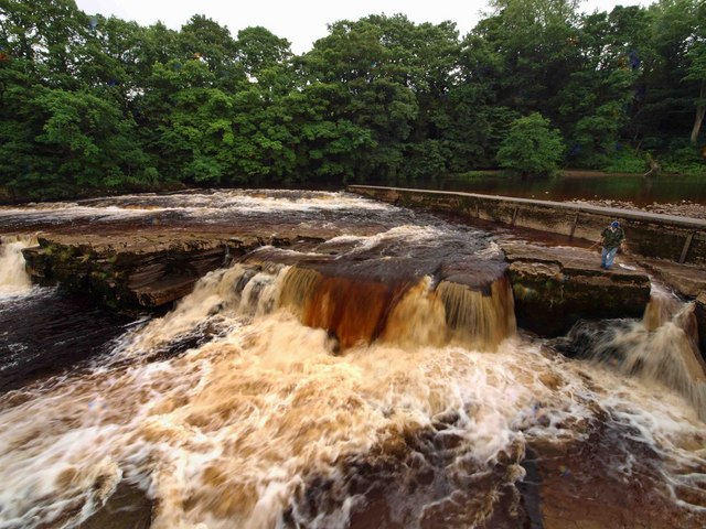 Fishing on the swollen River Swale at... © Steve Fareham :: Geograph ...