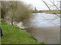 Severn Bore just approaching Stonebench