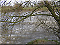 Strong tidal flow immediately following the Severn bore at Stonebench