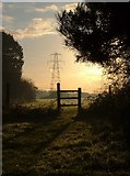 SX9390 : Fence and pylon, Duck's Marsh by Derek Harper