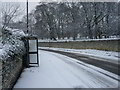 Main Street, Womersley