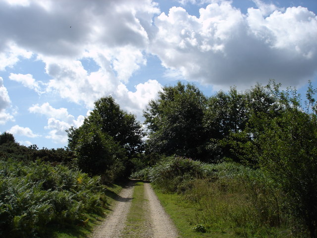 rendlesham forest cycling