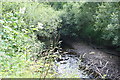 River from Bridge at Invertrossachs