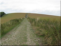 SU9713 : Charity walkers along the South Downs Way approaching the top of Bignor Hill by Dave Spicer