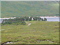 Cluanie Lodge partly hidden by trees