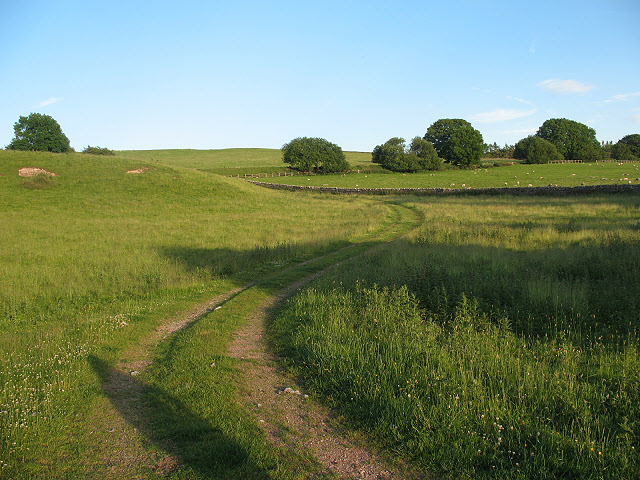 track-through-a-rural-conservation-area-stephen-craven-geograph