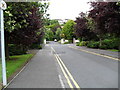 Avenue leading to Skeagh House