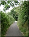 Secmaton Lane, Dawlish, near Secmaton Farm