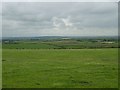 Grazing land at Plas Uchaf