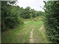 Path in Hillyfield Community Park, Gillingham