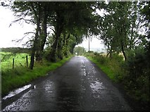H5559 : A wet Garvaghy Road by Kenneth  Allen